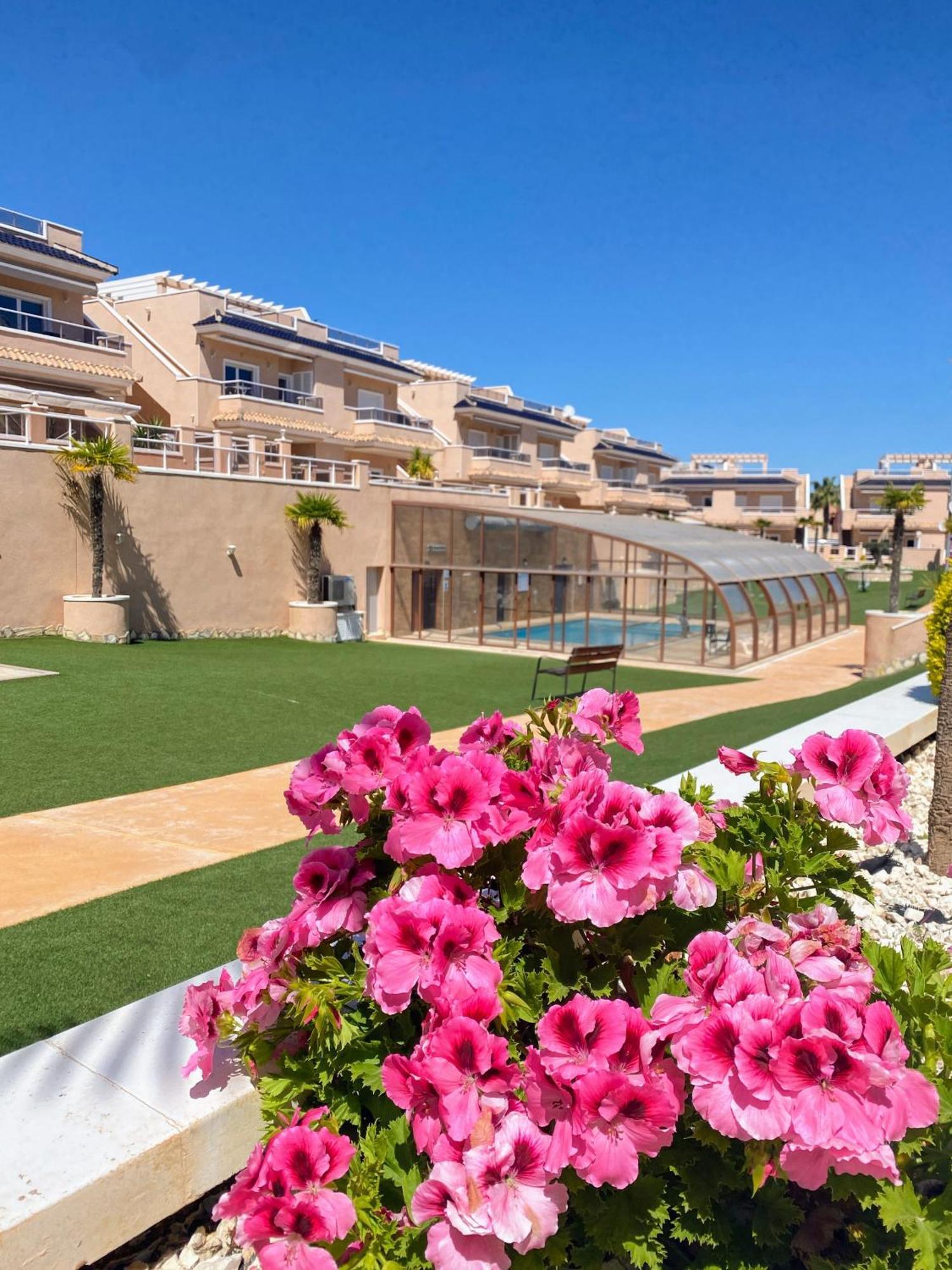 Apartments Punta Prima Indoor & Outdoor Pool 托雷维耶哈 外观 照片